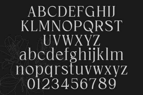 Cardival-Preview-Character-Set-01