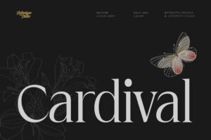 Cardival-Preview-Hero-Cover