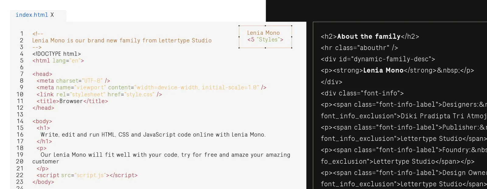 Lenia Mono a Monospace Family with 5 Style included in packaged