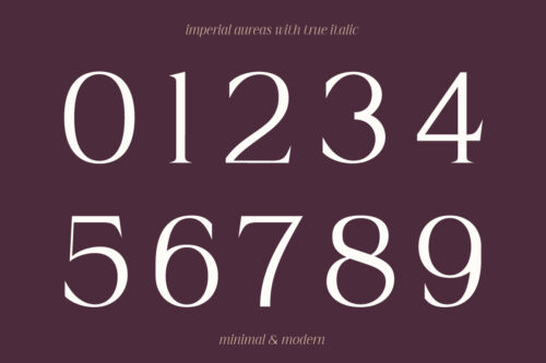 Imperial-Aureas-Preview-Character-Set-03