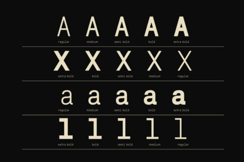 Lenia-Mono-Preview-5-Styles-Breakdown