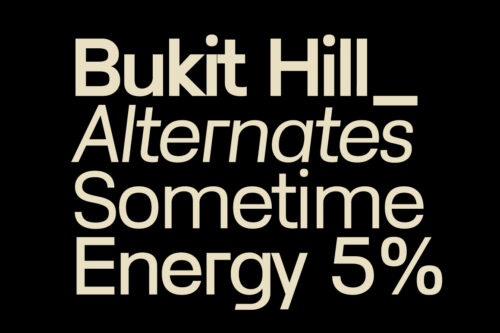 Lenia-Sans-Preview-Big-Typography