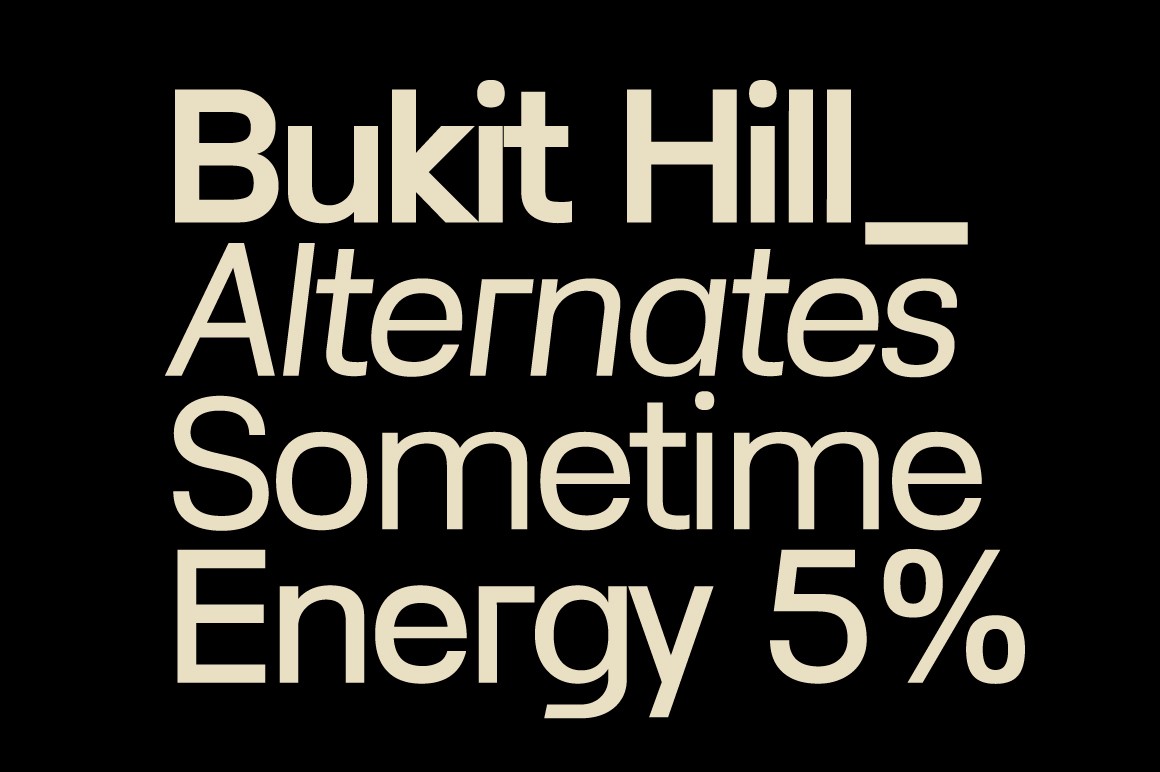 Lenia-Sans-Preview-Big-Typography