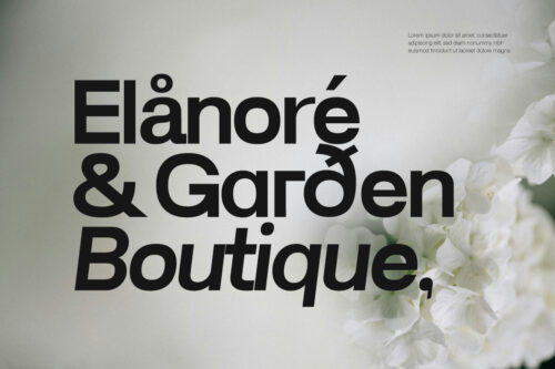 Lenia-Sans-Preview-Boutique-Poster