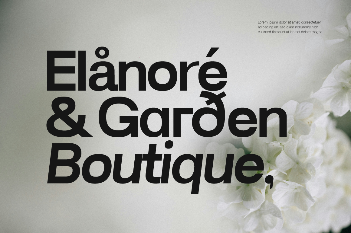 Lenia-Sans-Preview-Boutique-Poster