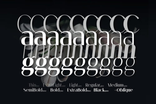 Melloida-Preview-18-Styles-Breakdown