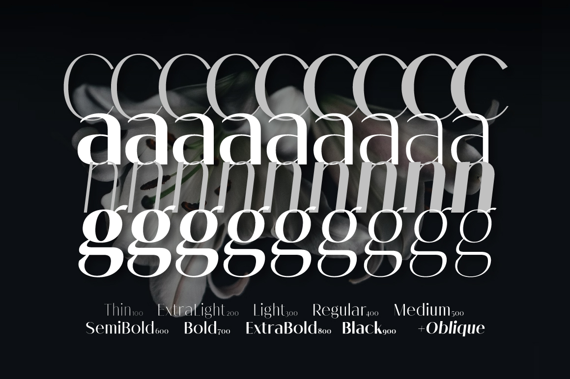 Melloida-Preview-18-Styles-Breakdown