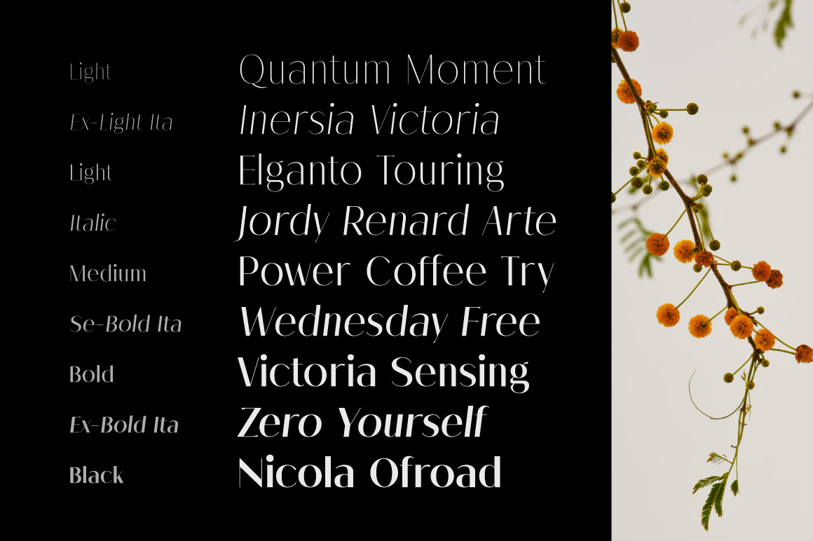 Melloida-Preview-18-Styles-Showcase