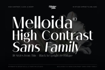 Melloida-Preview-Hero-Cover