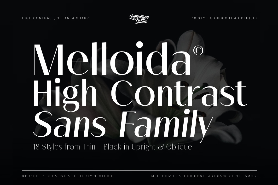 Melloida-Preview-Hero-Cover