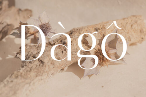 Melloida-Preview-Simple-Elegant-Logo