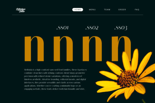 Melloida-Preview-Stylistic-Set-Work