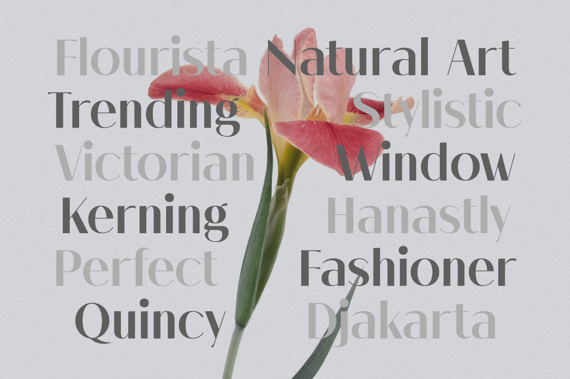 Melloida-Preview-Typography-Showcase