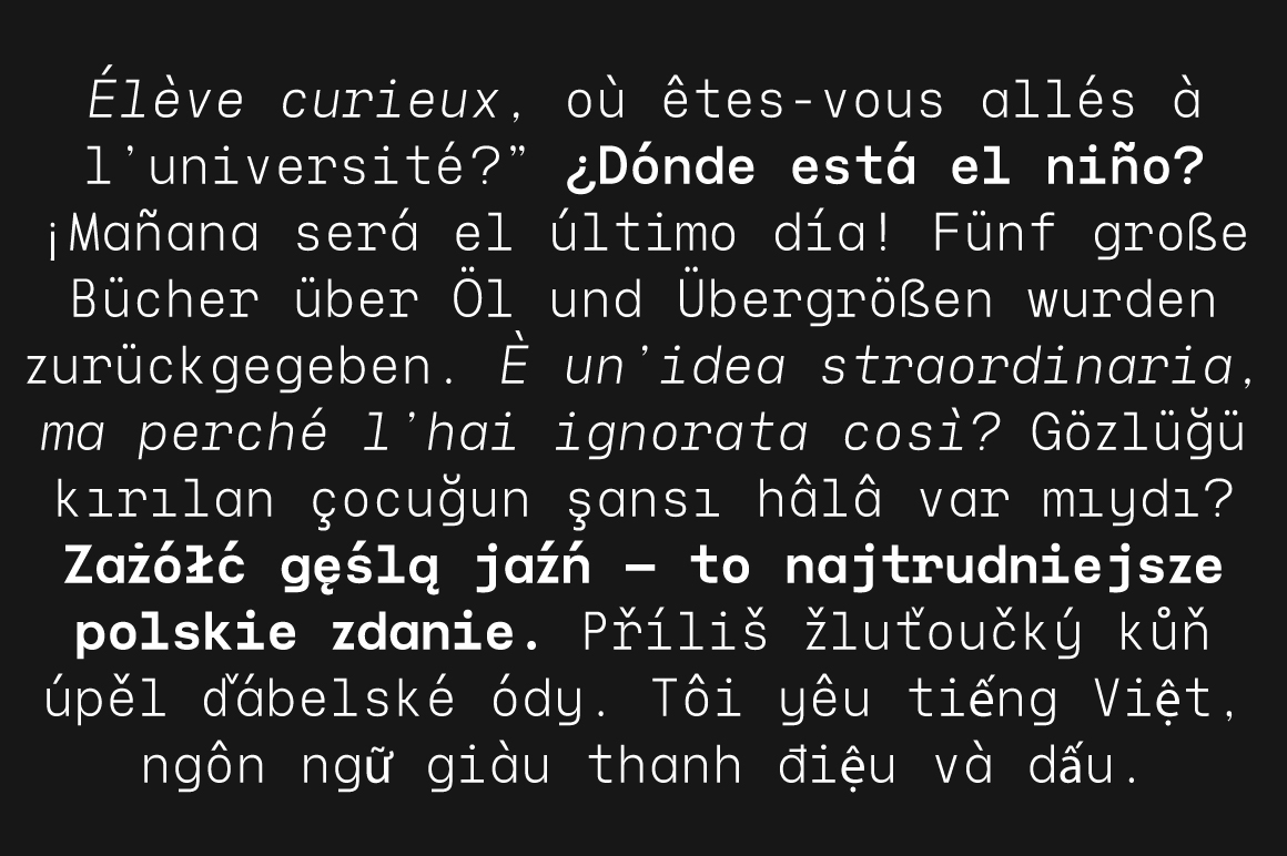 Naru-Mono-Preview-Multilingual-Accent-Glyph