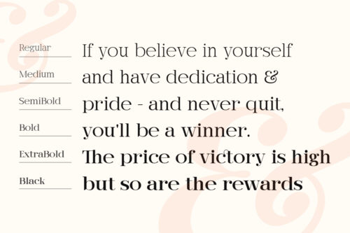 Rotifera-Preview-Styles-Breakdown-02