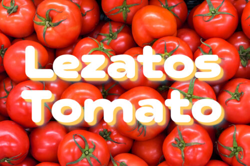 Shake-Bubble-Preview-Lezatos-Tomatos