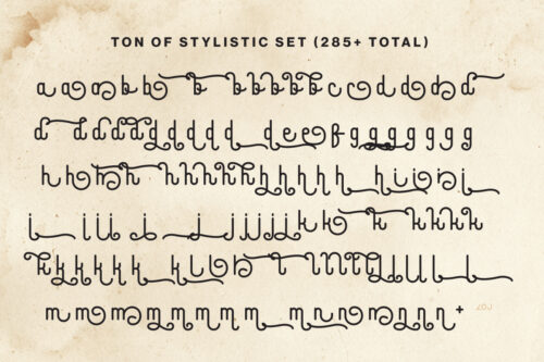 Travel-Growth-Duo-Preview-Stylistic-Set