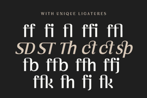 Vogera-Preview-Unique-Ligatures