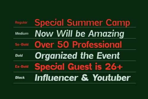 Vynce-Sans-Preview-Typography-Styles-Used