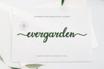 Elegant Script Font