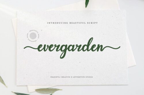 Elegant Script Font