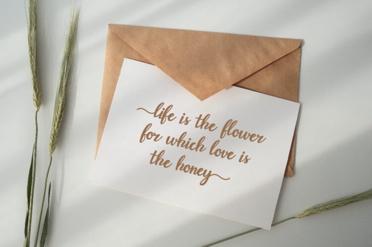 Elegant Script Font