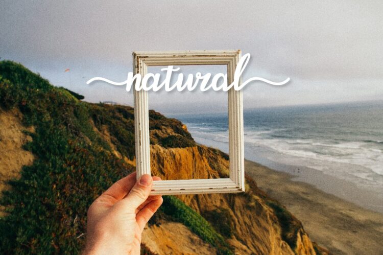 Elegant Script Font