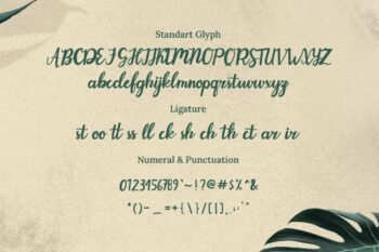 Elegant Script Font