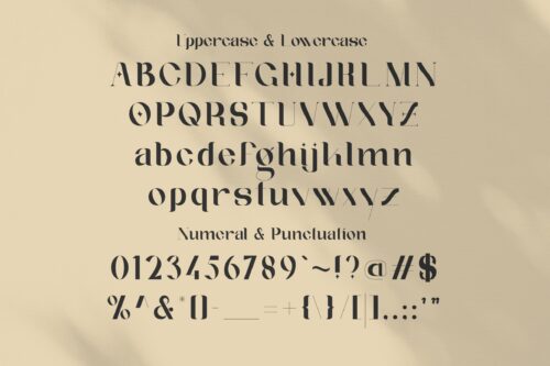 modern luxury serif font