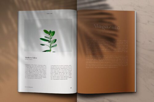 Modern Classic Serif Font