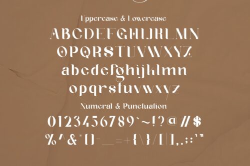 Modern Classic Serif Font