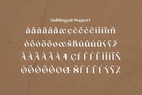 Modern Classic Serif Font