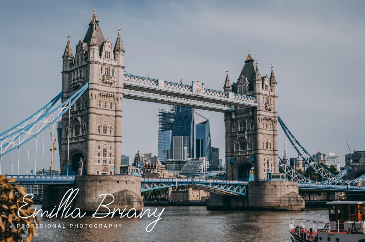 freebies free stylish script font