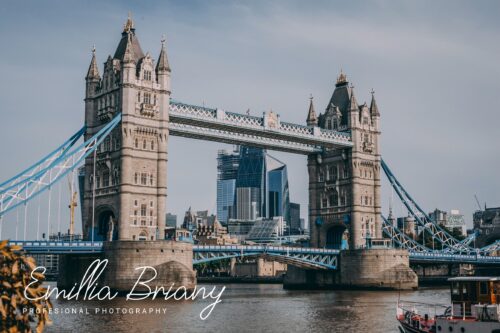 freebies free stylish script font