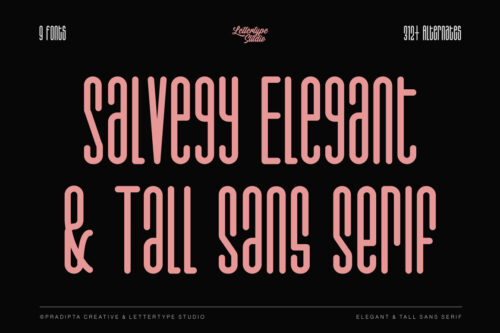 Salvegy-Preview-Hero-Cover