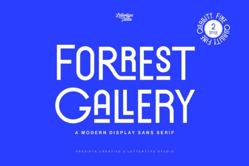 Modern Display Sans Serif