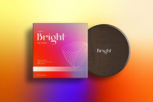 Modern Classic Serif Font