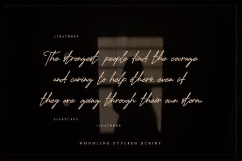 Stylish Monoline Script