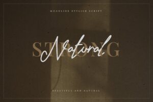 Stylish Monoline Script