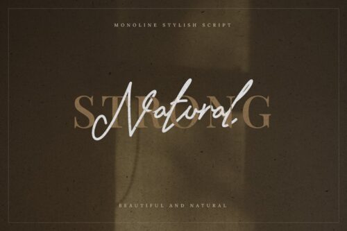 Stylish Monoline Script