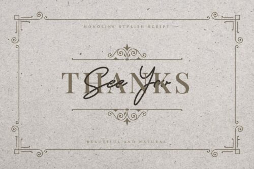 Stylish Monoline Script