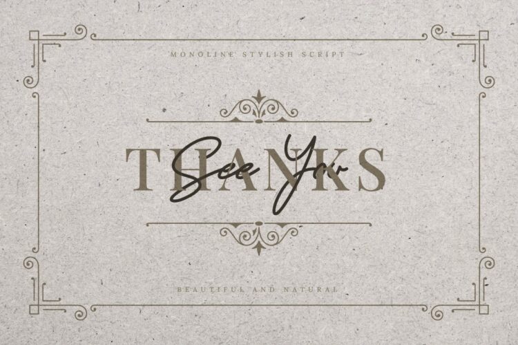 Stylish Monoline Script