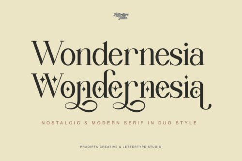 Nostalgic Modern Serif