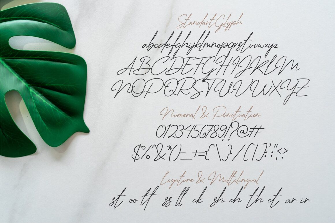 Elegant Handwritten Script