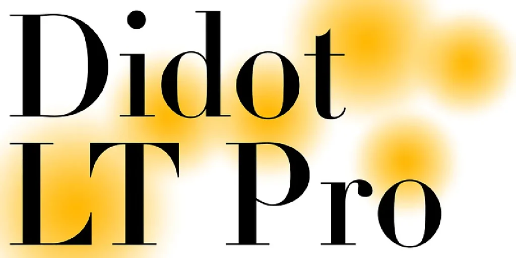 5 Most Used Serif Font Styles Today (Plus Lettertype Studio Picks)_Didot