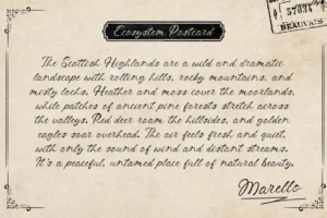 Marello-Postcards-Preview-Long-Story
