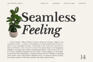 Vescura-Editorial-Layout