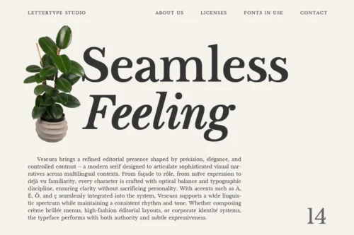 Vescura-Editorial-Layout