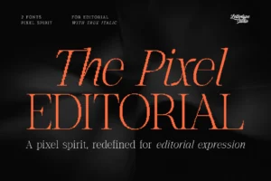 pixel-editorial-serif-font-preview-hero