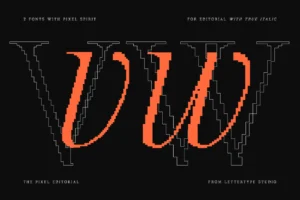 pixel-inspired-serif-letterform-detail